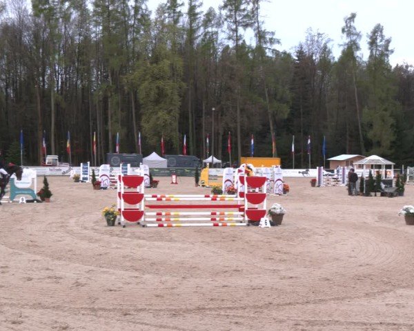 Reitturnier Ranshofen - Braunau am Inn 2024