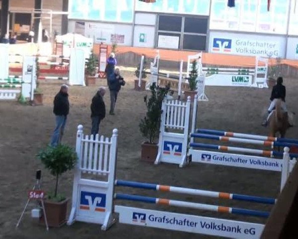 Emlichheim Hallen-Springturnier vom 21.-23.10.2011