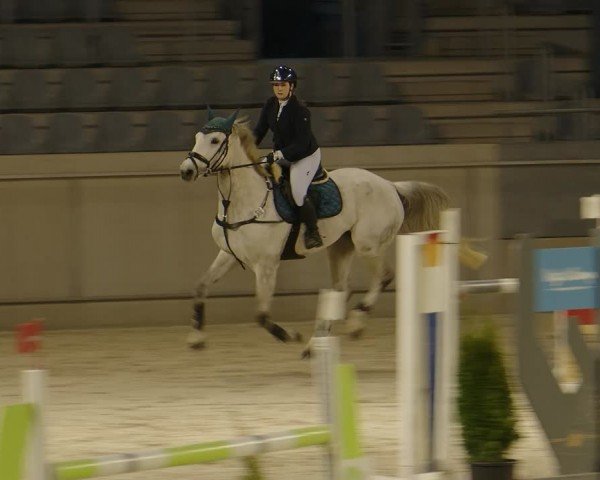 Reitturnier Aachen 2024