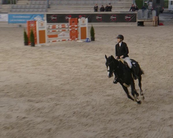 Reitturnier Aachen 2024