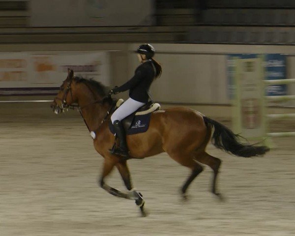 Reitturnier Aachen 2024