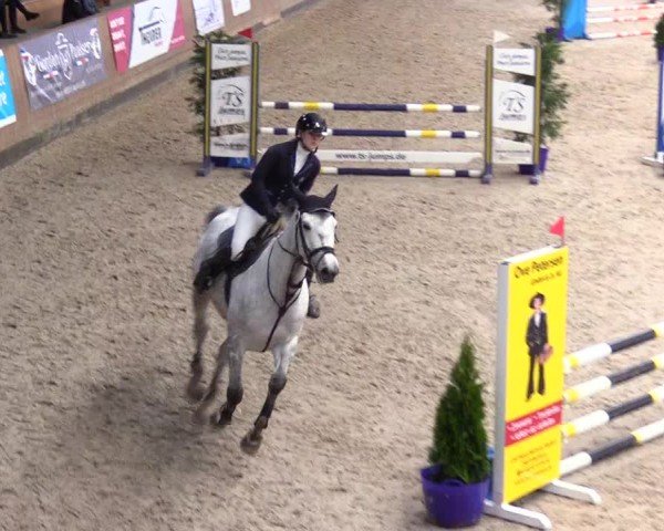 Reitturnier Niebüll - Jumping Team Nord 2024