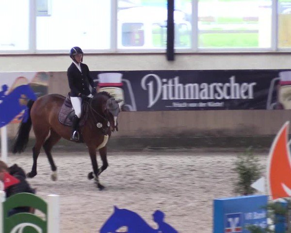 Reitturnier Niebüll - Jumping Team Nord 2024