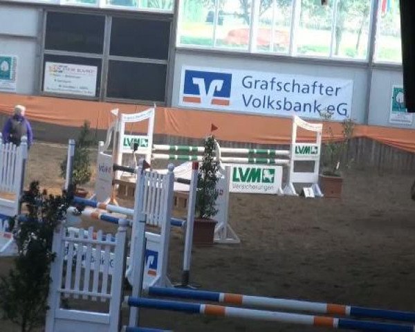 Emlichheim Hallen-Springturnier vom 21.-23.10.2011