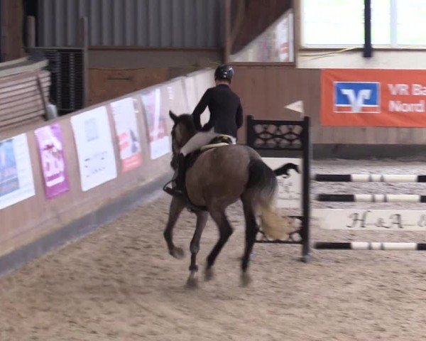 Reitturnier Niebüll - Jumping Team Nord 2024