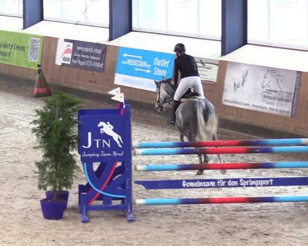 Reitturnier Niebüll - Jumping Team Nord 2024