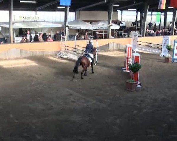 Emlichheim Hallen-Springturnier vom 21.-23.10.2011
