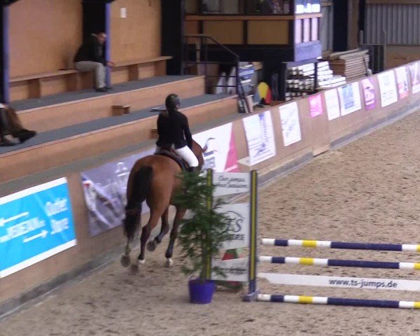 Reitturnier Niebüll - Jumping Team Nord 2024