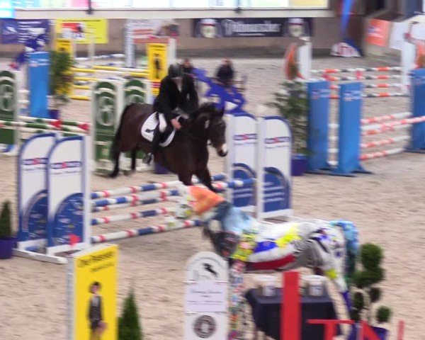 Reitturnier Niebüll - Jumping Team Nord 2024