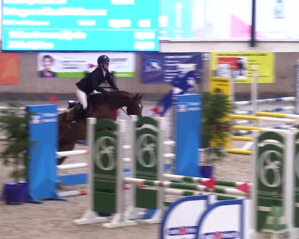 Reitturnier Niebüll - Jumping Team Nord 2024