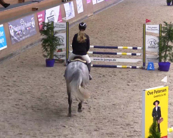 Reitturnier Niebüll - Jumping Team Nord 2024