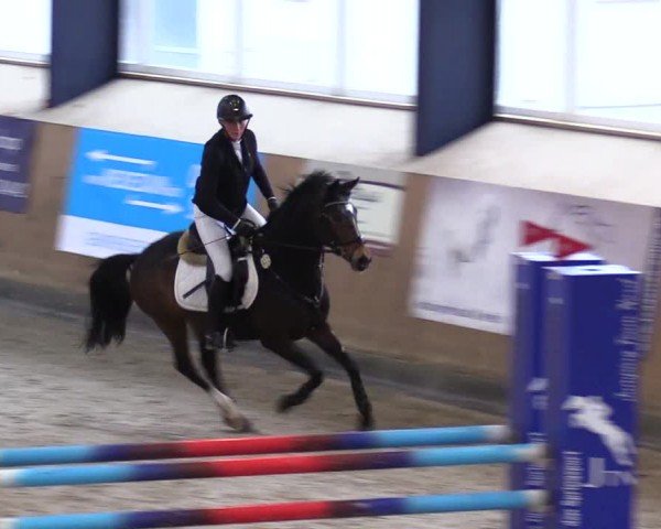 Reitturnier Niebüll - Jumping Team Nord 2024