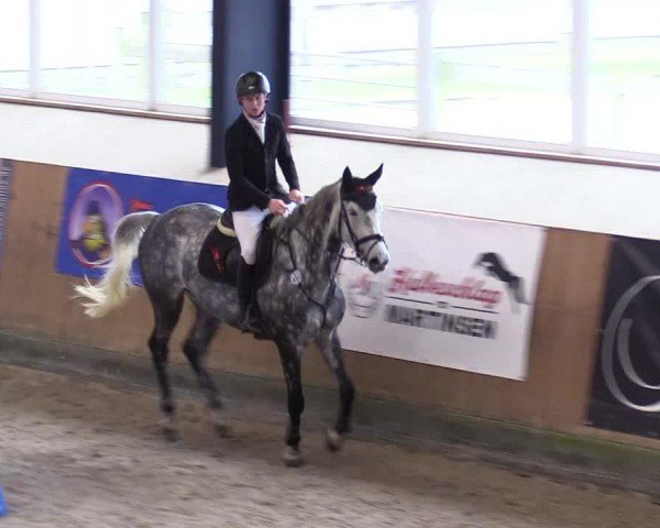Reitturnier Niebüll - Jumping Team Nord 2024