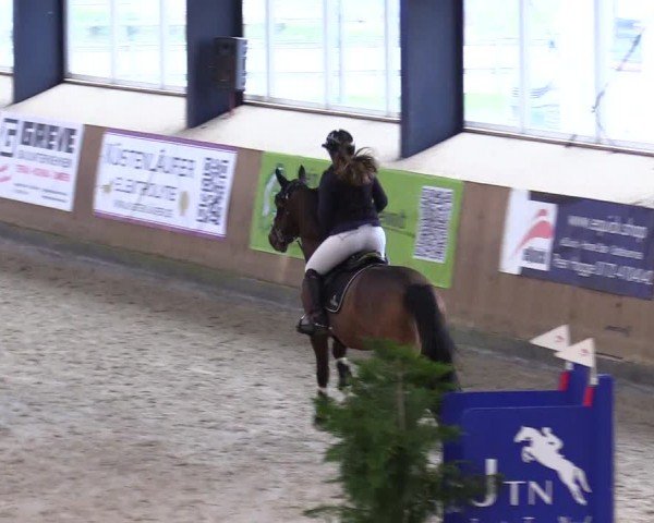 Reitturnier Niebüll - Jumping Team Nord 2024