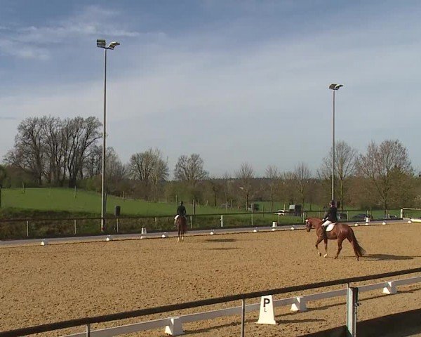 Reitturnier Altentrüdingen/Mfr. 2024