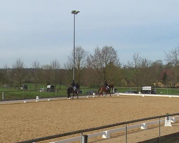 Reitturnier Altentrüdingen/Mfr. 2024