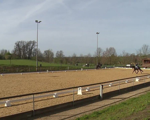 Reitturnier Altentrüdingen/Mfr. 2024