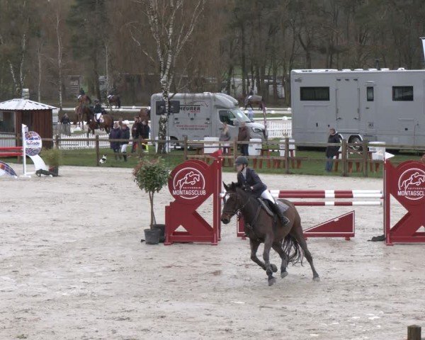 Reitturnier Westergellersen 2024