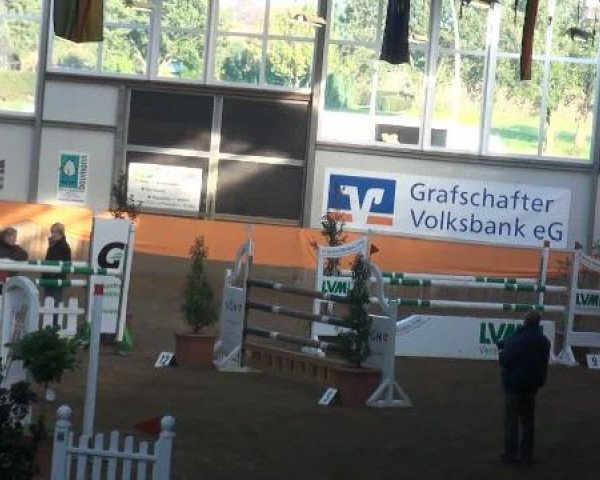 Emlichheim Hallen-Springturnier vom 21.-23.10.2011