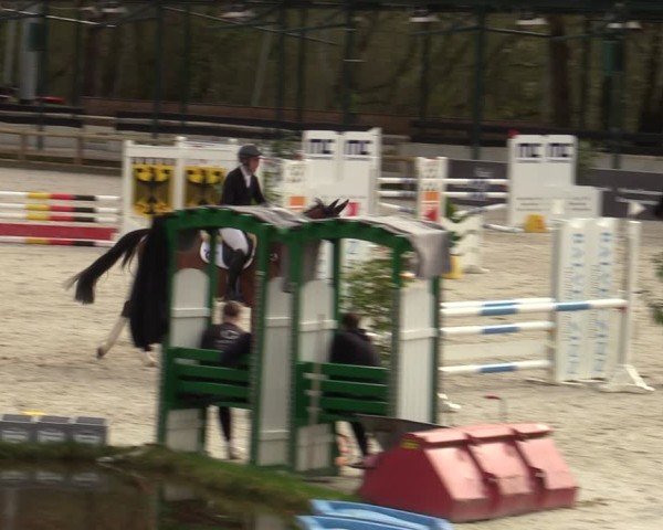 Reitturnier Balve-Wocklum 2024