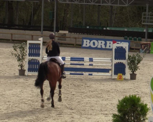 Reitturnier Balve-Wocklum 2024