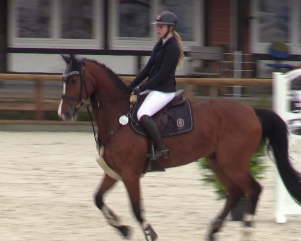 Reitturnier Balve-Wocklum 2024
