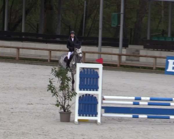 Reitturnier Balve-Wocklum 2024
