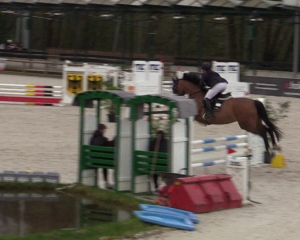 Reitturnier Balve-Wocklum 2024