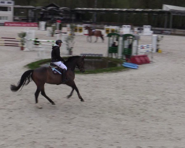 Reitturnier Balve-Wocklum 2024