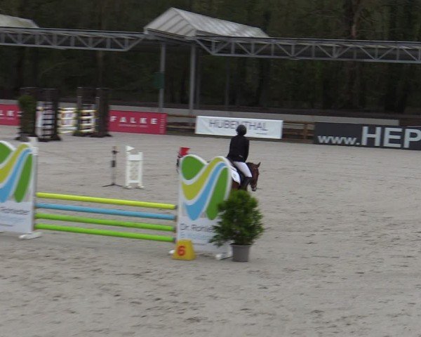 Reitturnier Balve-Wocklum 2024
