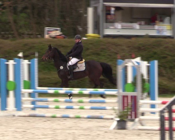 Reitturnier Pietzpuhl 2024