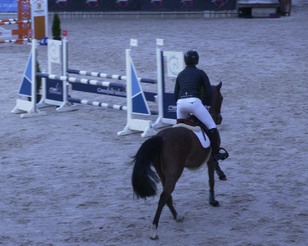 Reitturnier Aachen 2024