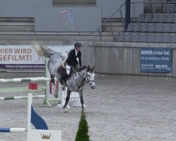 Reitturnier Aachen 2024
