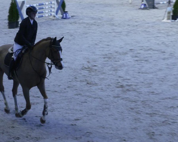 Reitturnier Aachen 2024