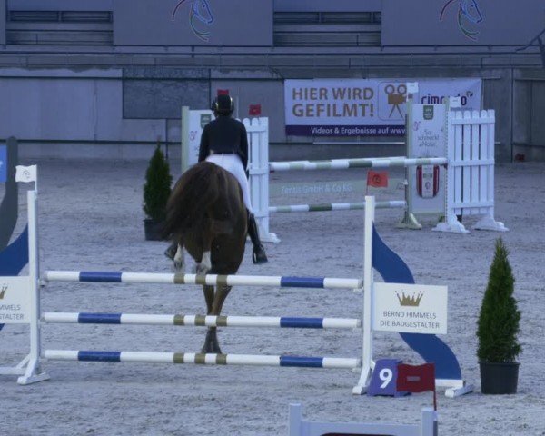 Reitturnier Aachen 2024