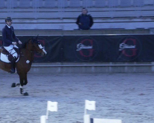 Reitturnier Aachen 2024