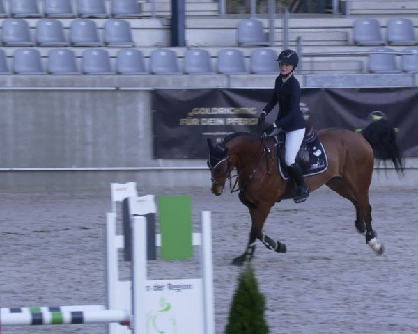 Reitturnier Aachen 2024
