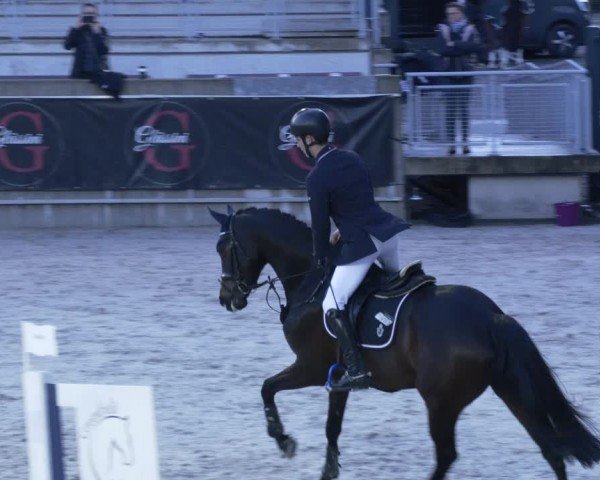 Reitturnier Aachen 2024