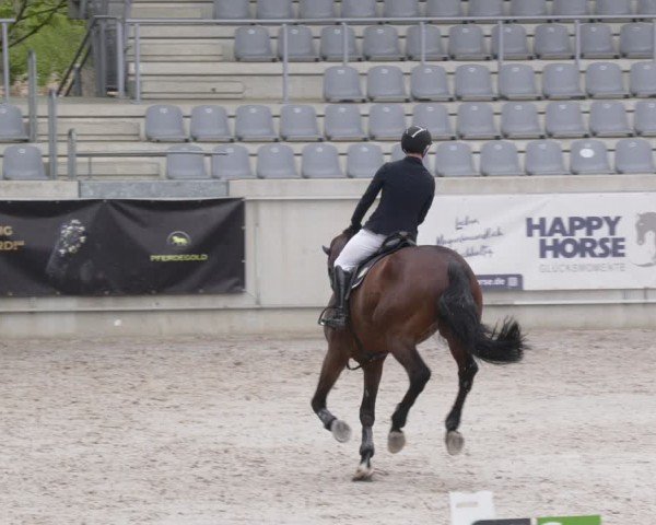 Reitturnier Aachen 2024