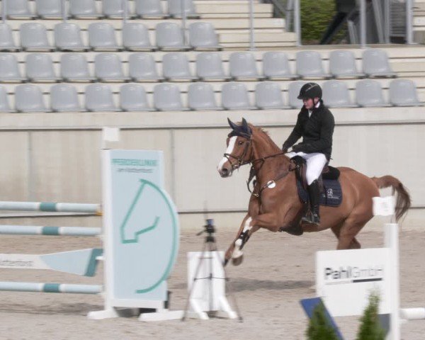 Reitturnier Aachen 2024