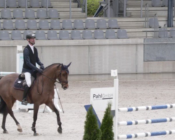 Reitturnier Aachen 2024