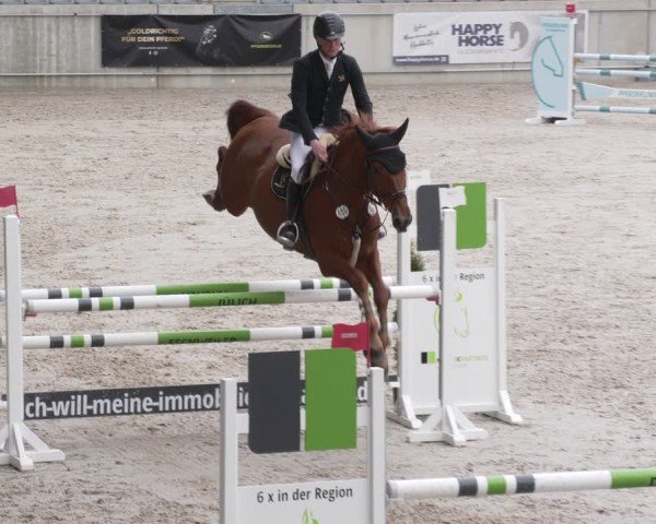 Reitturnier Aachen 2024