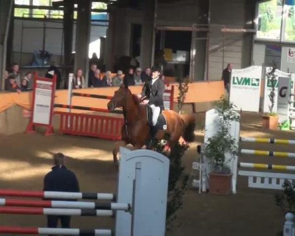 Emlichheim Hallen-Springturnier vom 21.-23.10.2011