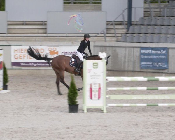 Reitturnier Aachen 2024