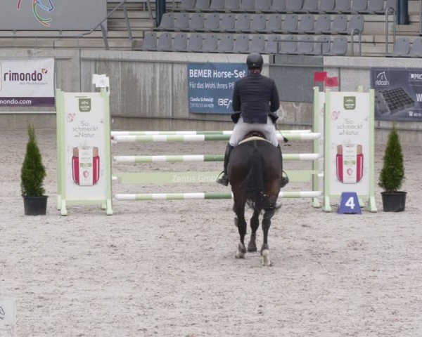 Reitturnier Aachen 2024