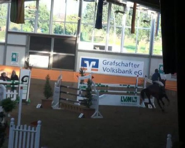 Emlichheim Hallen-Springturnier vom 21.-23.10.2011