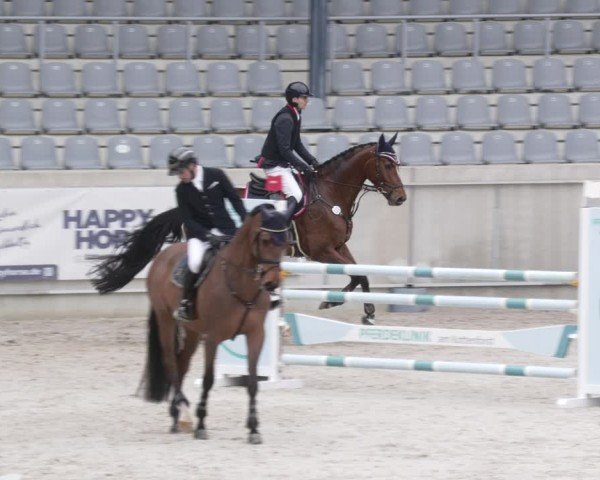 Reitturnier Aachen 2024