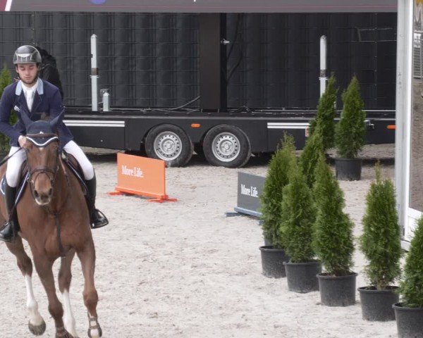 Reitturnier Aachen 2024