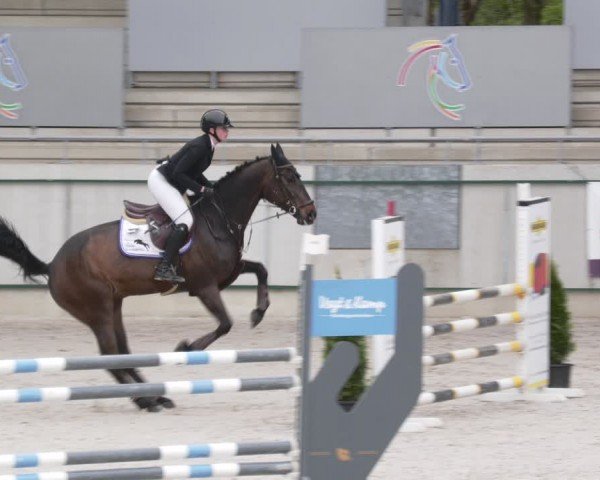 Reitturnier Aachen 2024