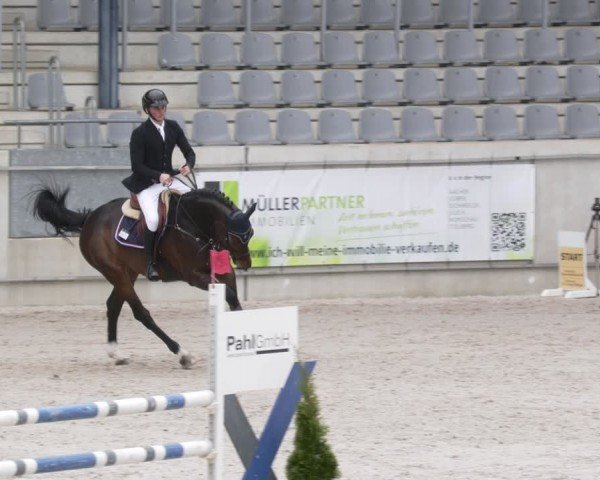 Reitturnier Aachen 2024